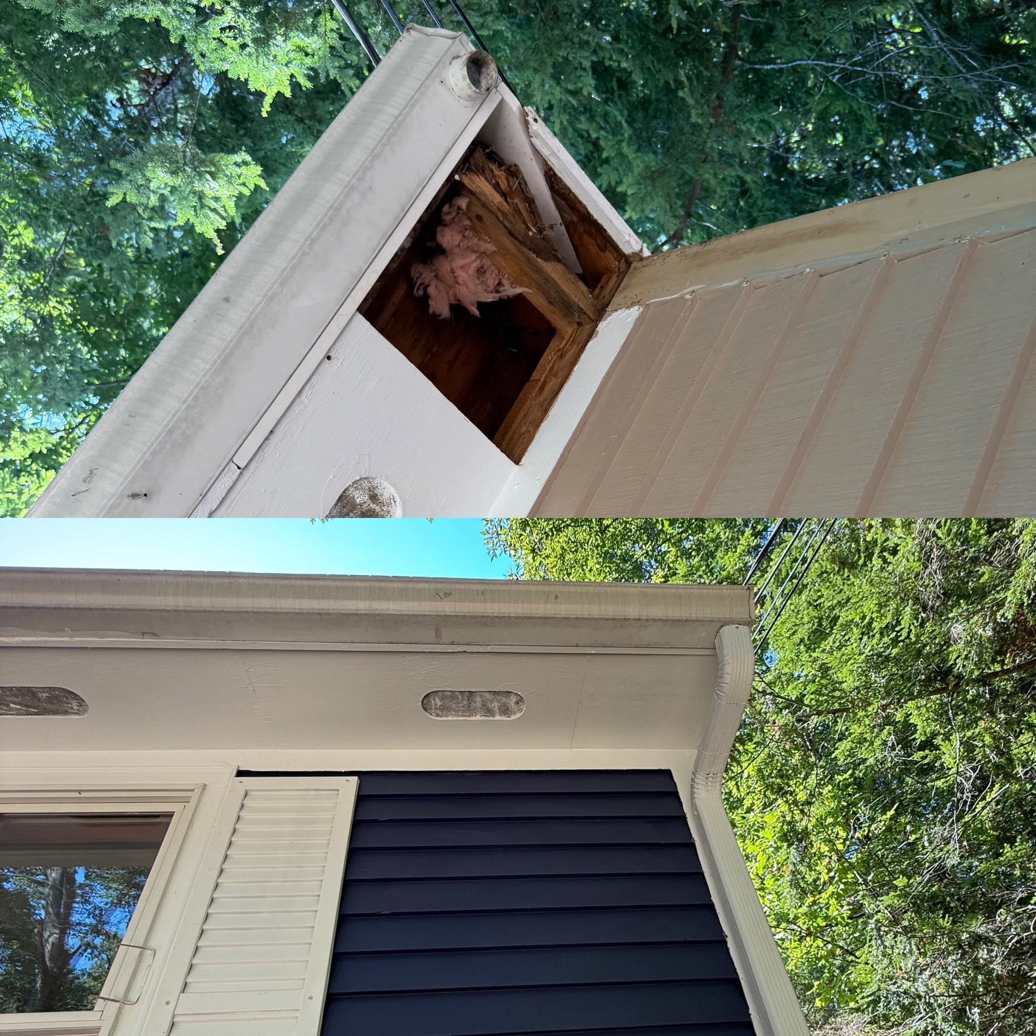 Complete Exterior Paint in Two Days — Danville, NH — photo 10