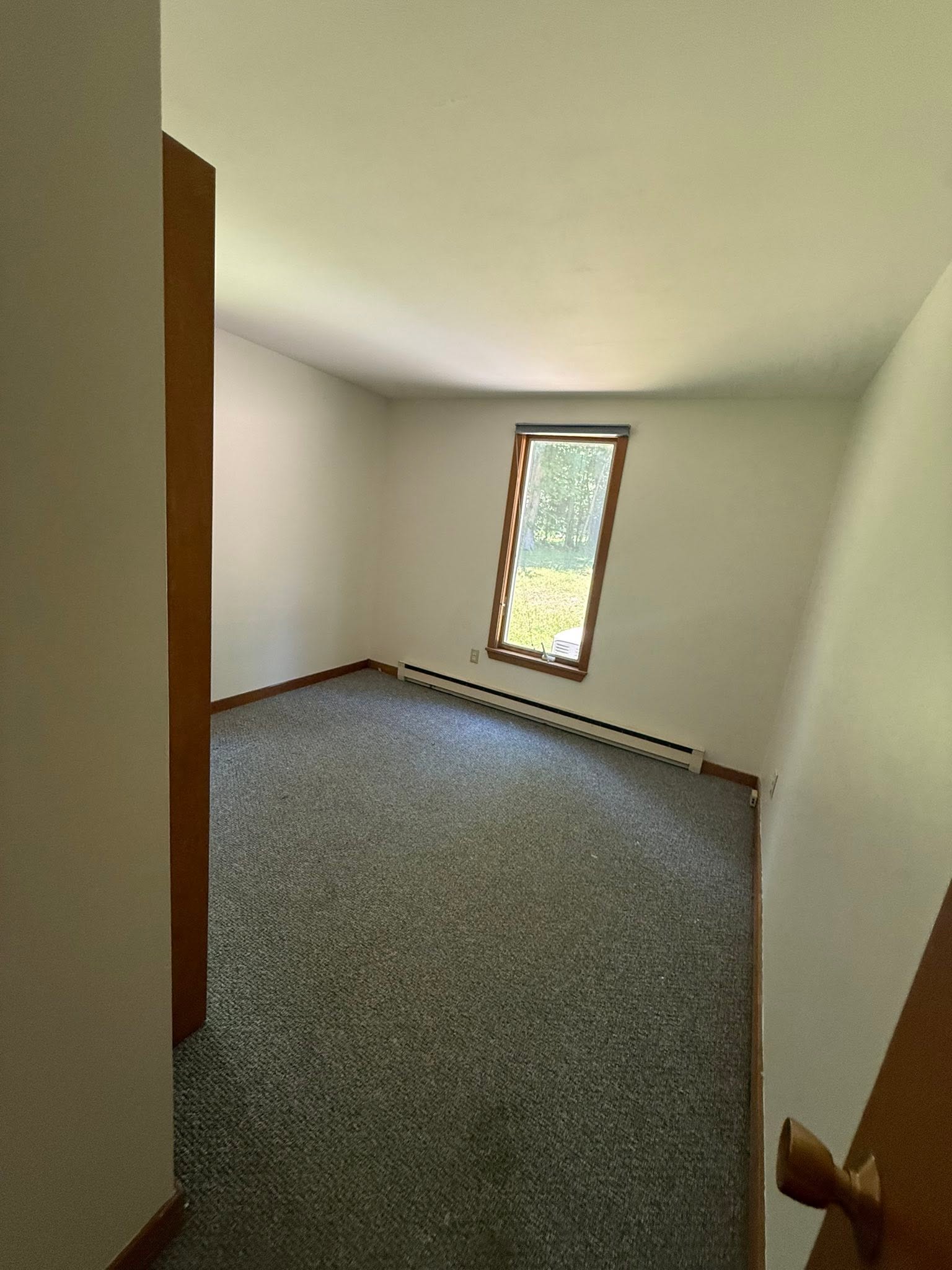 One-Day Full Exterior — New Homeowner, Fast Turnaround — photo 5