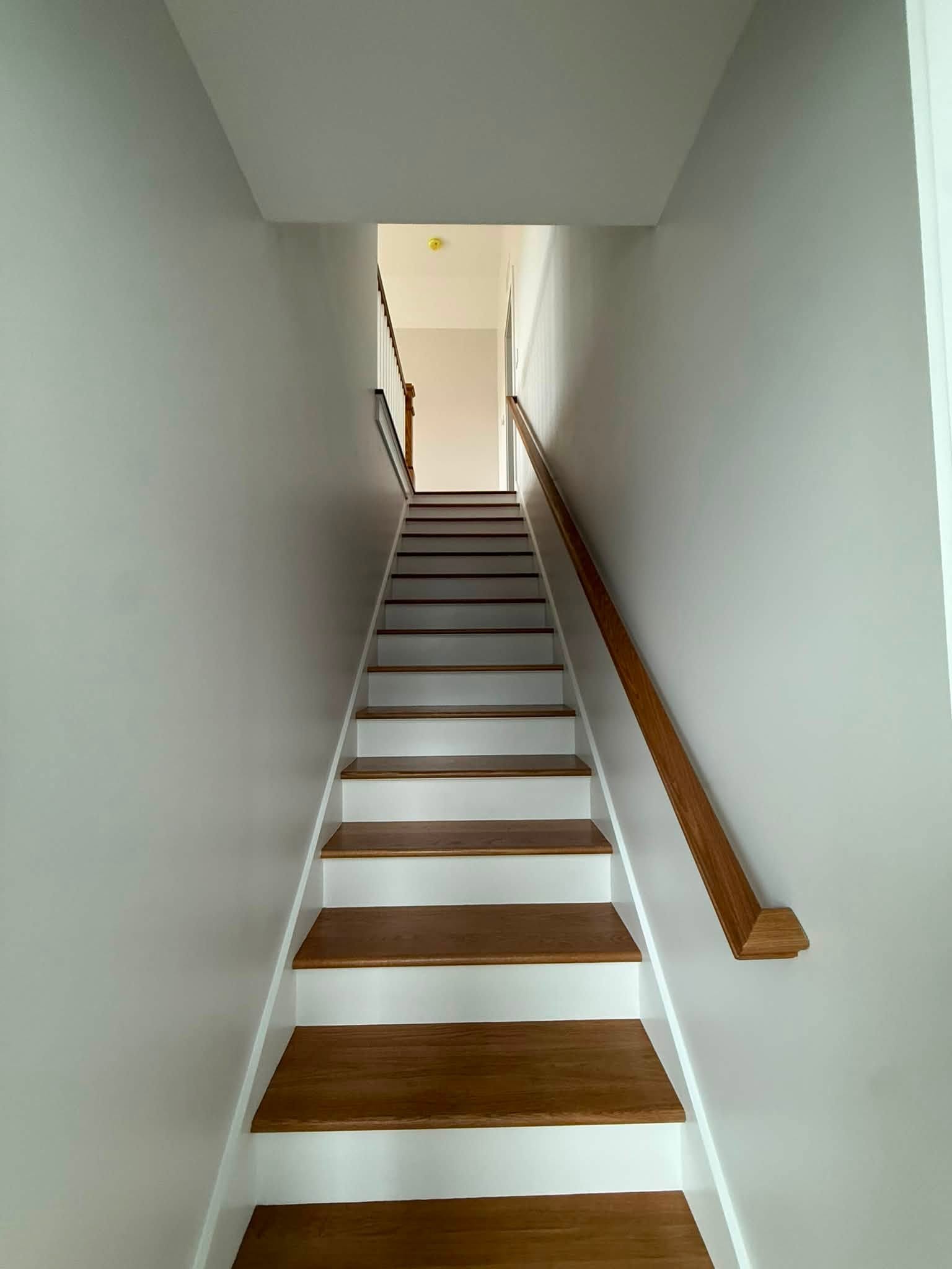 5,000 Sq. Ft. Custom Home — Complete Interior Painting — photo 8