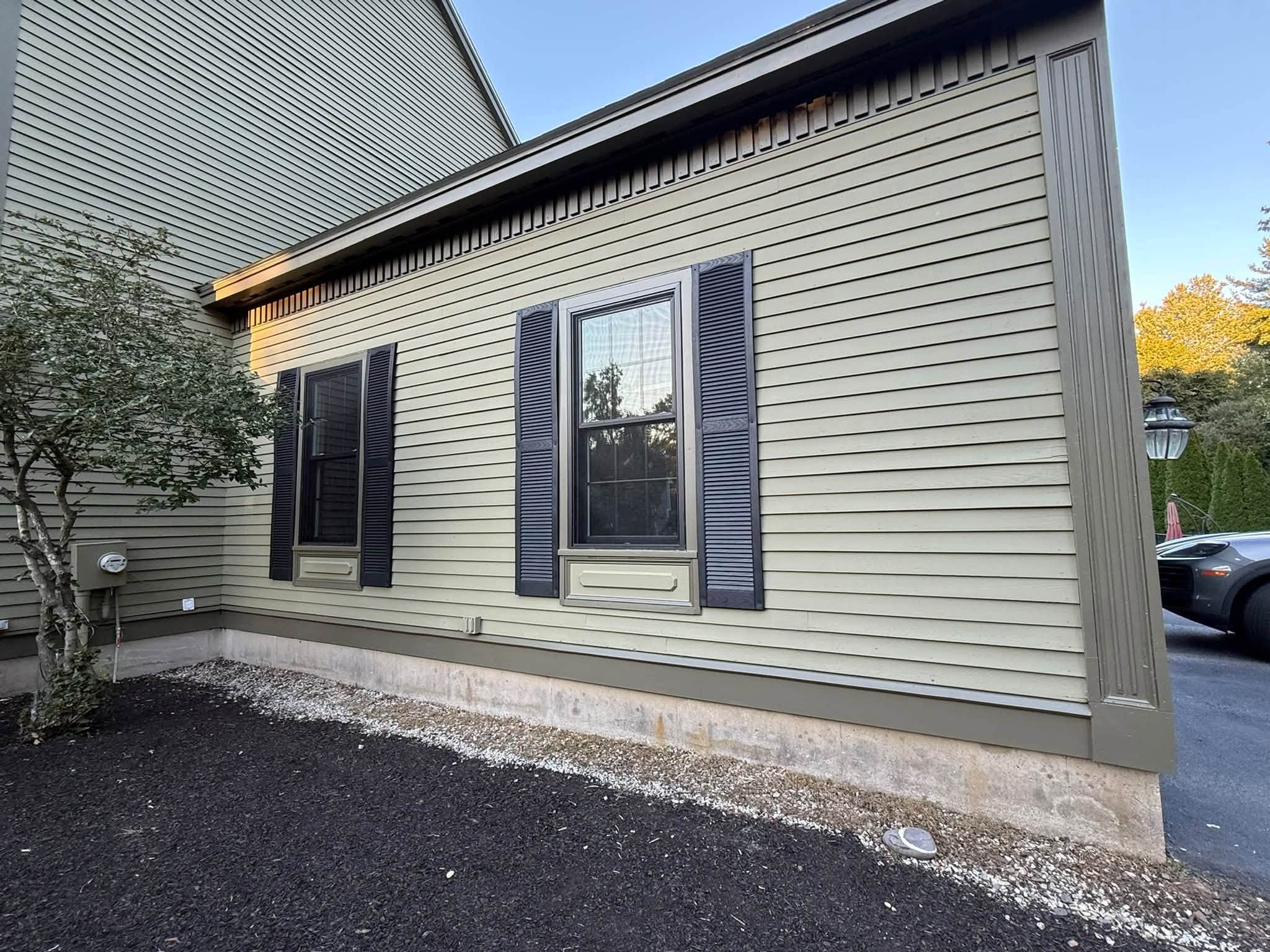 Exterior Color Change with Extensive Carpentry Repairs — photo 3