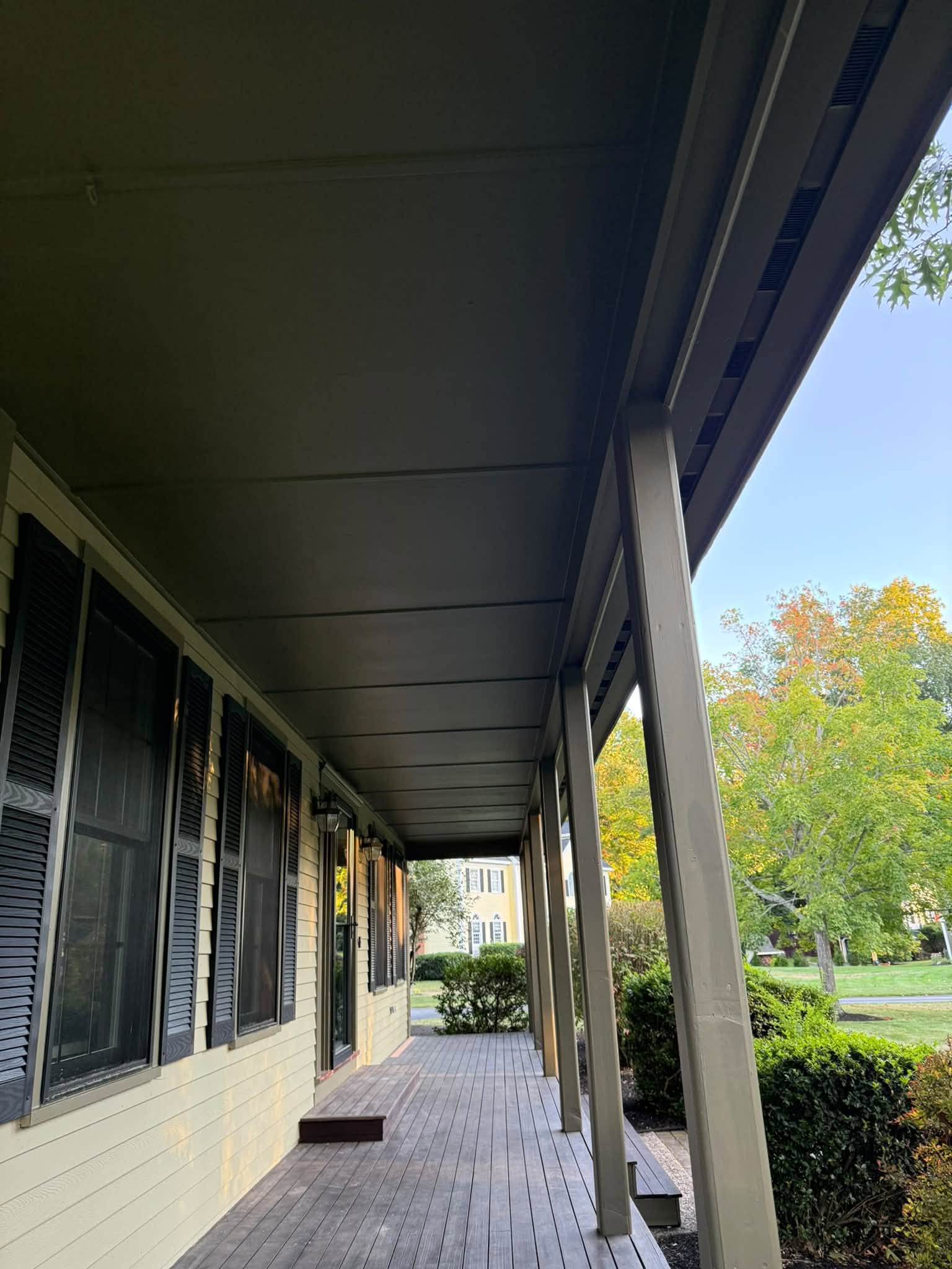Exterior Color Change with Extensive Carpentry Repairs — photo 5