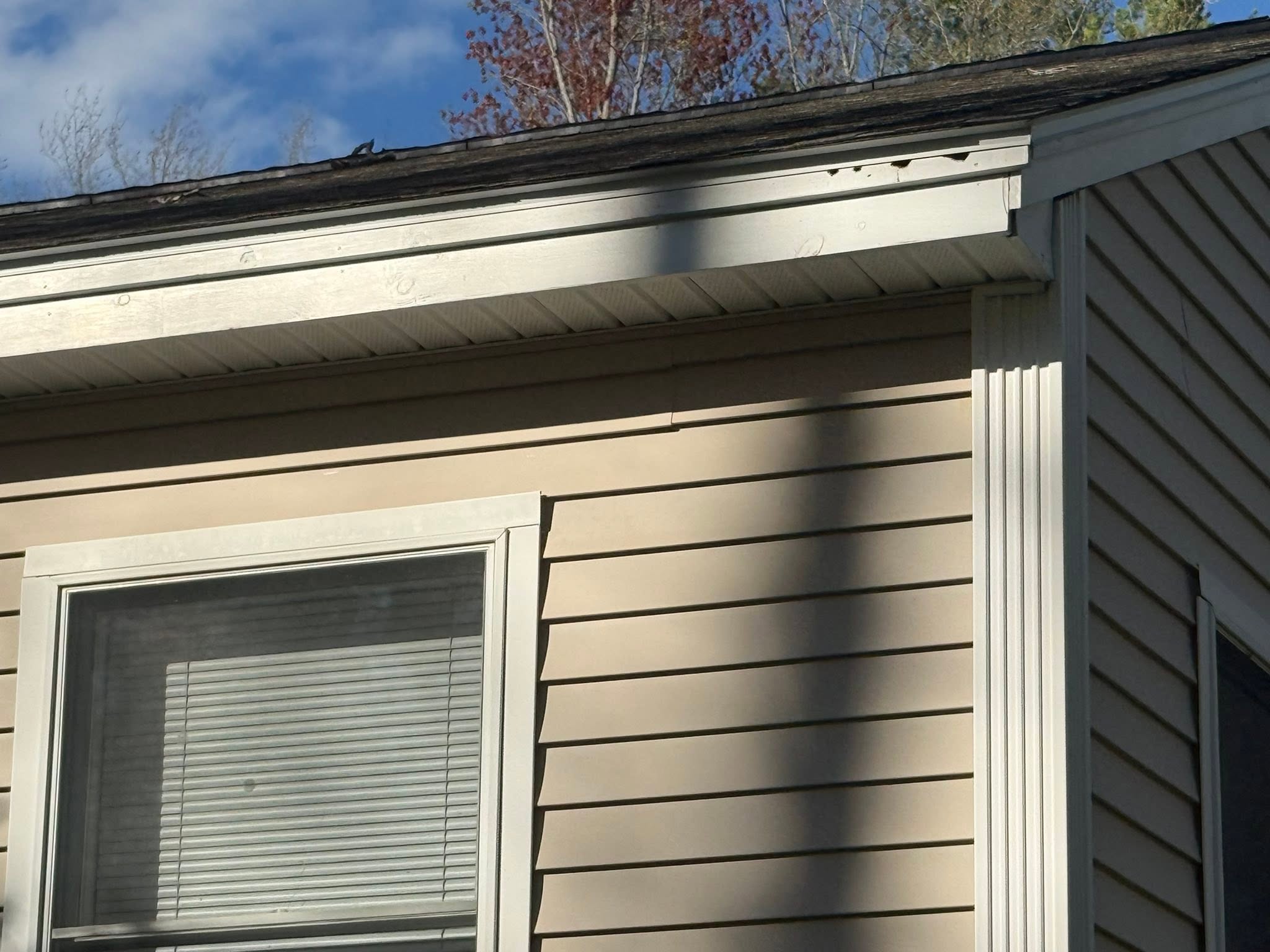 Complete Exterior Repaint — 5,000 Sq Ft in Three Days — photo 5