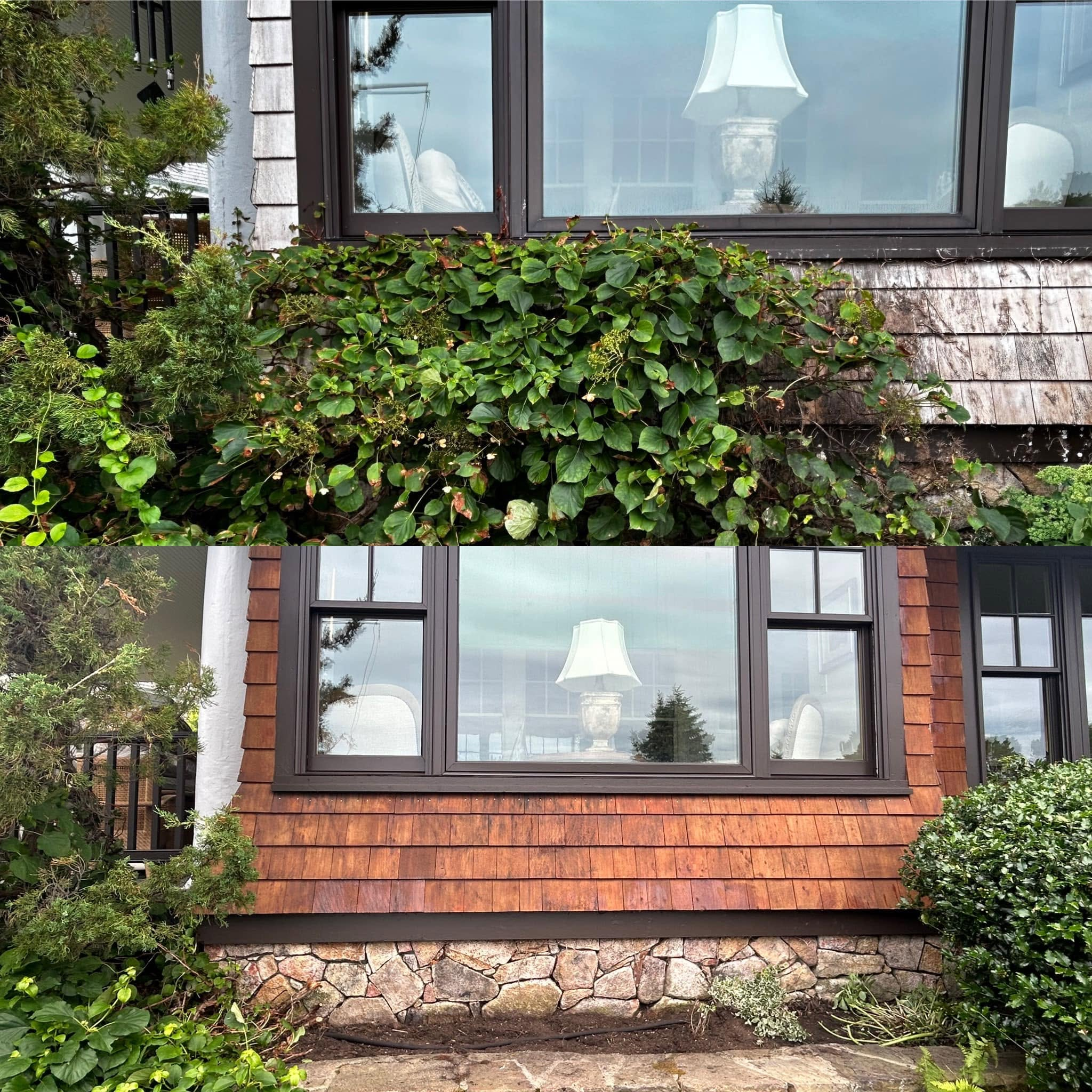 Coastal Statement Home — Cedar Restoration & Trim Repair — photo 8