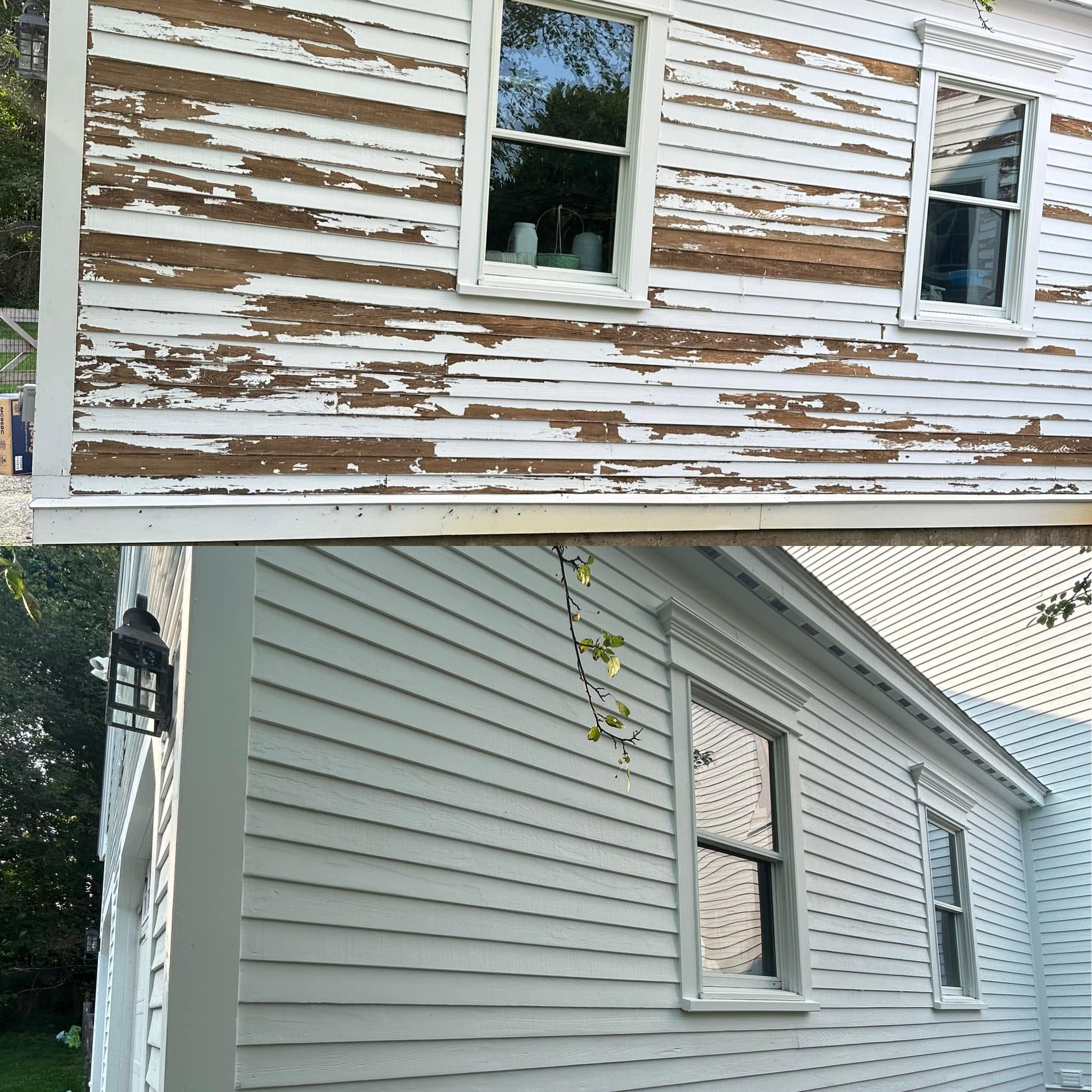 Complete Exterior Paint — Flawless Finish — photo 1