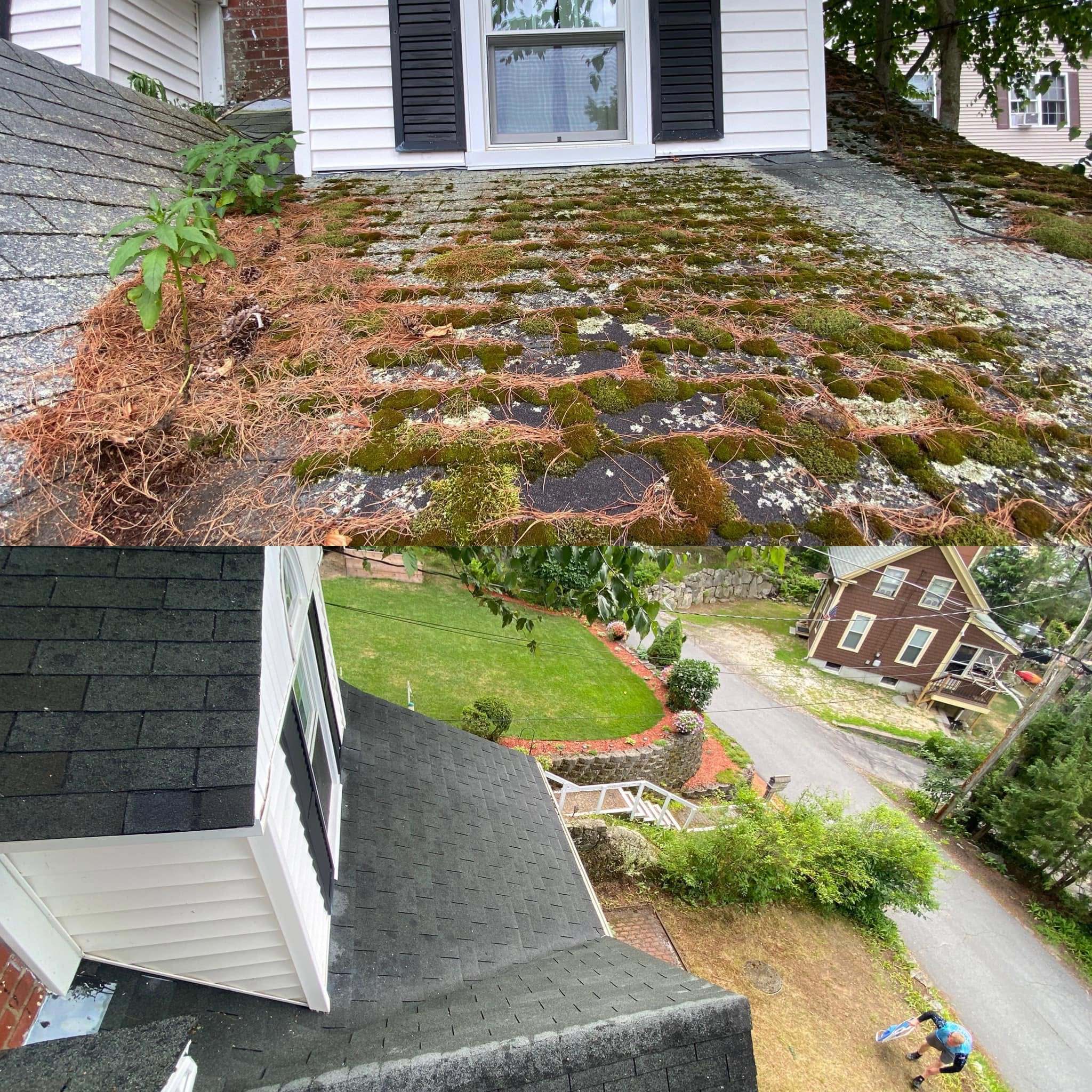 Professional Roof Cleaning — Before & After — photo 1