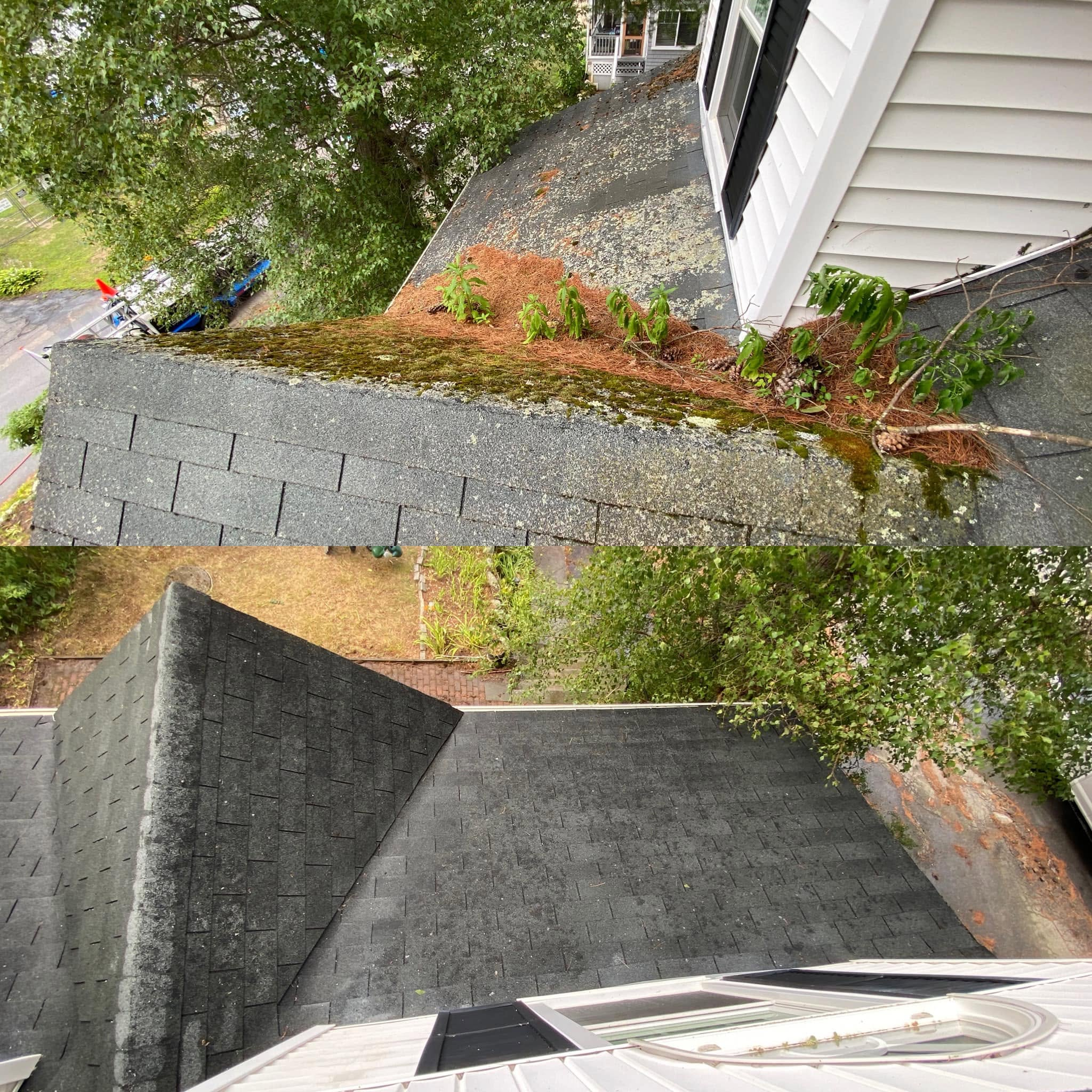 Professional Roof Cleaning — Before & After — photo 2