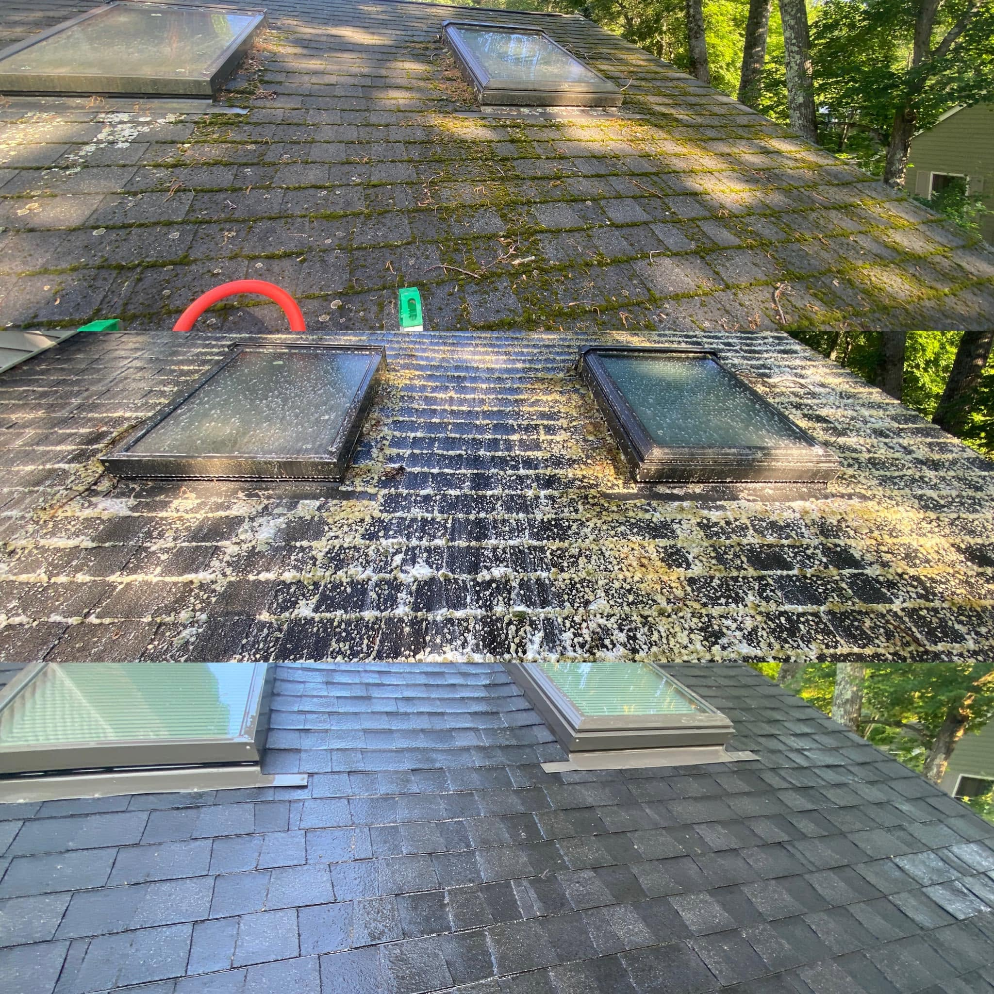 Professional Roof Cleaning — Before & After — photo 7