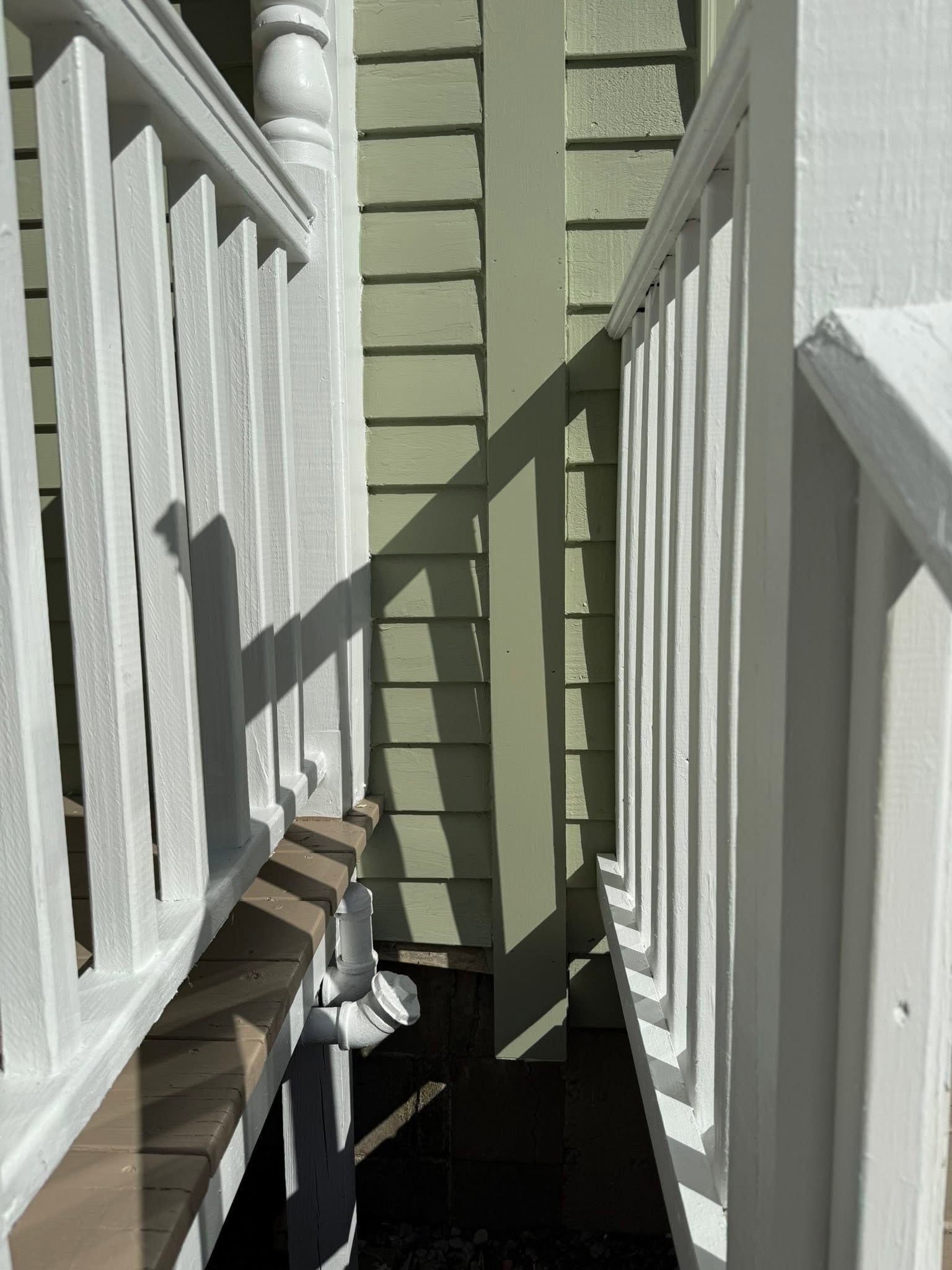 Exterior Color Change with Carpentry Repairs — photo 11