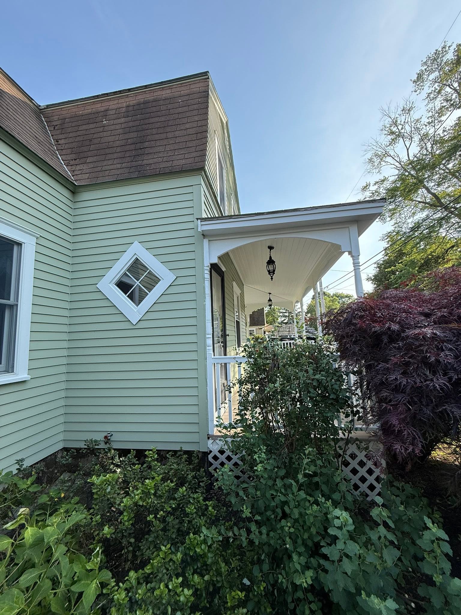 Exterior Color Change with Carpentry Repairs — photo 4