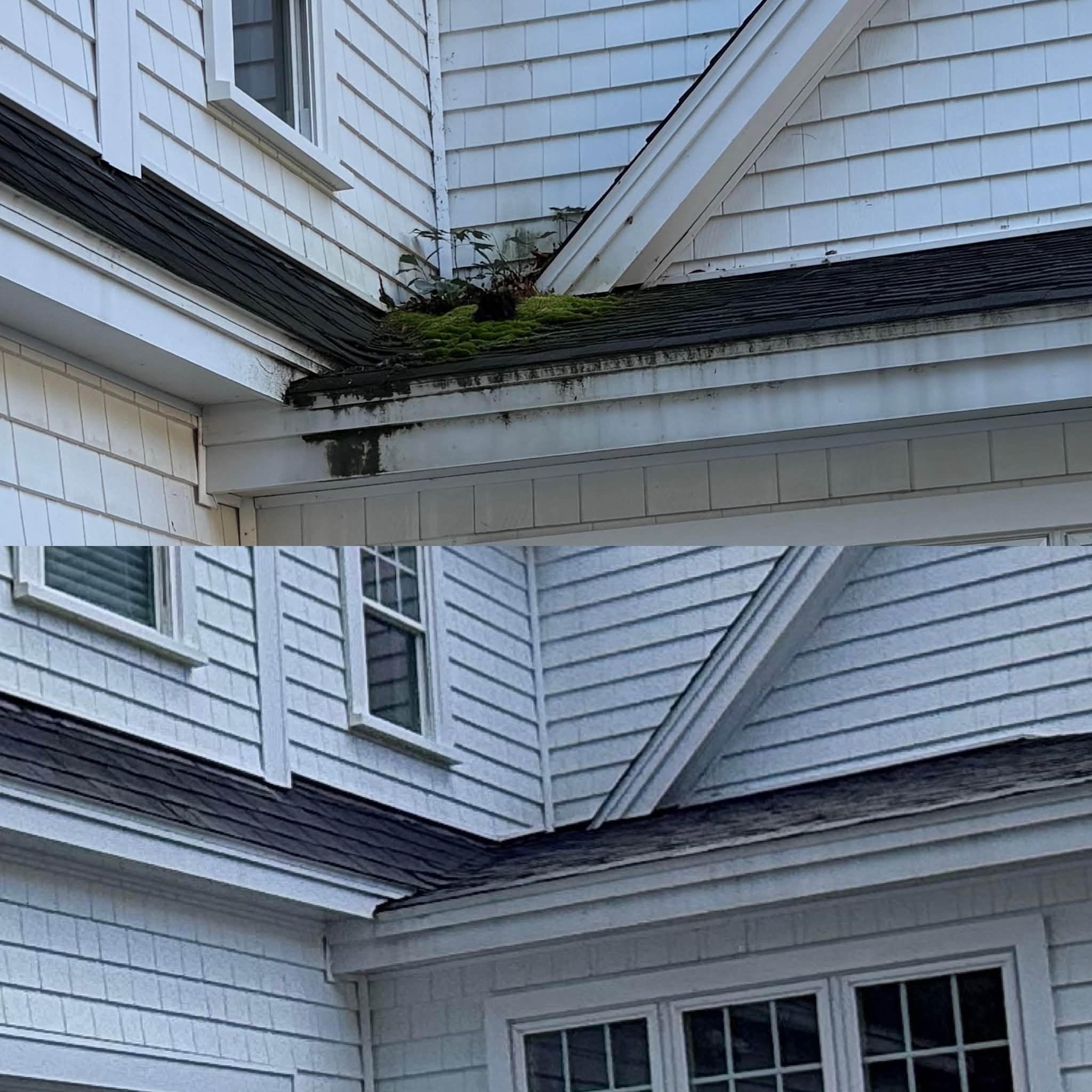 Pre-Listing Exterior Cleaning for a Seacoast Realtor — photo 2