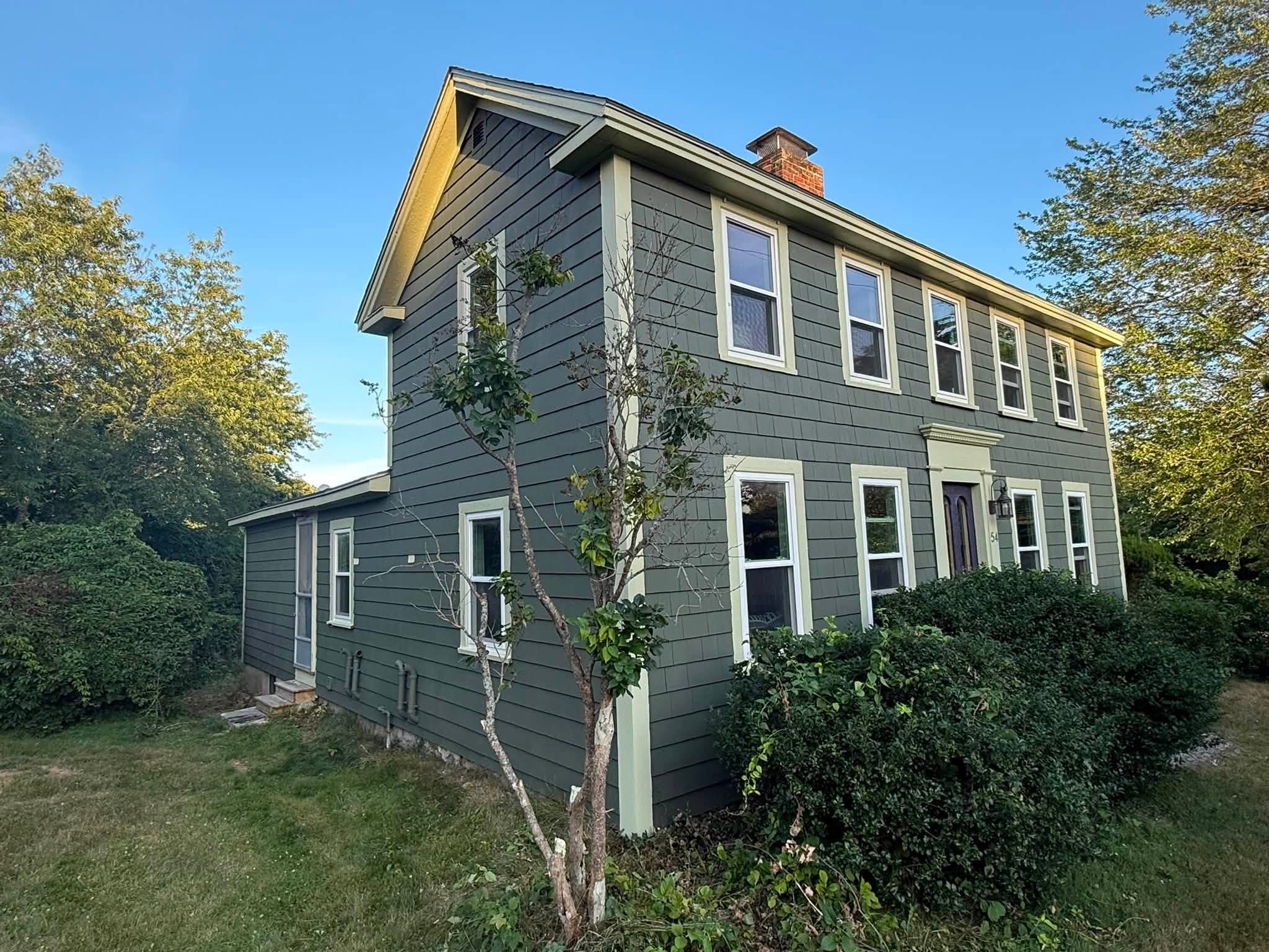 Complete Exterior Repaint — Carpentry Repairs & Window Sill Replacement — photo 3