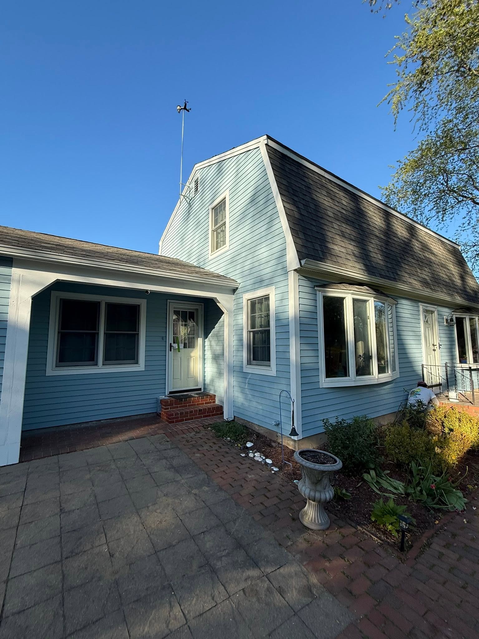 Exterior Stain & Trim Repaint with Carpentry — photo 7